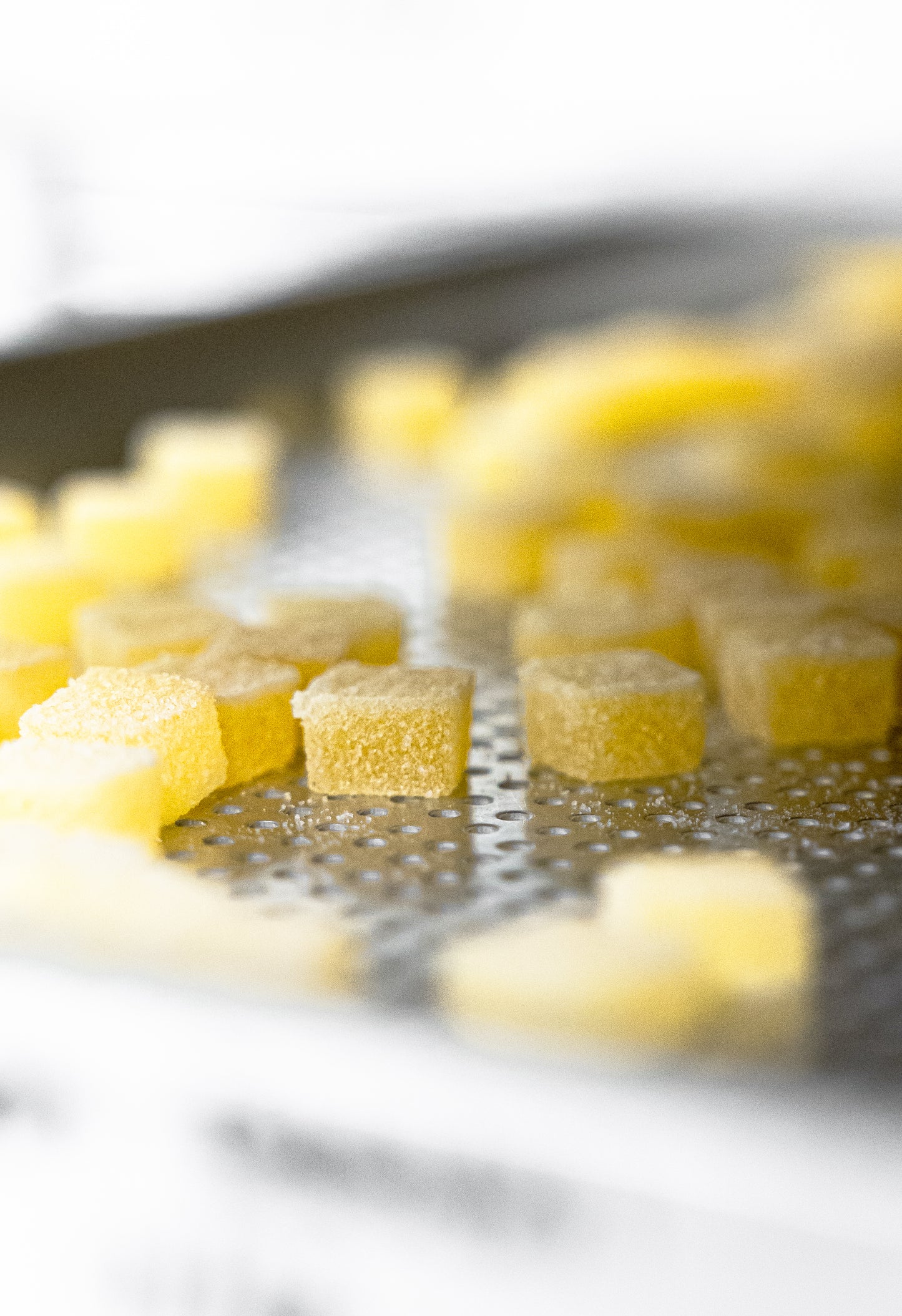 Melt-to-Make™ Lemon Oil Flavor