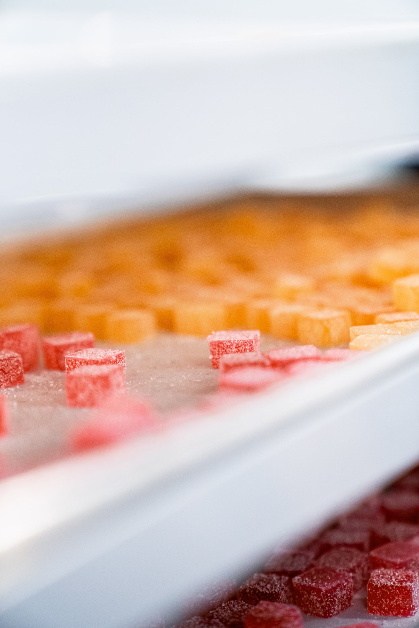 Melt-to-Make™ Natural Orange Color Bundle