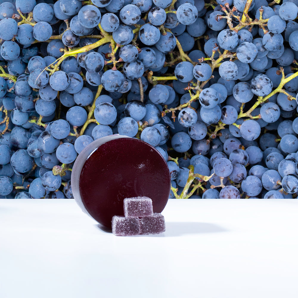 Grape - 10kg Case - Melt-to-Make® Gelatin Gummy Base