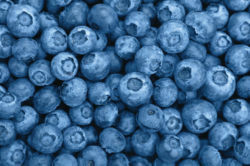 Blueberries and cherries