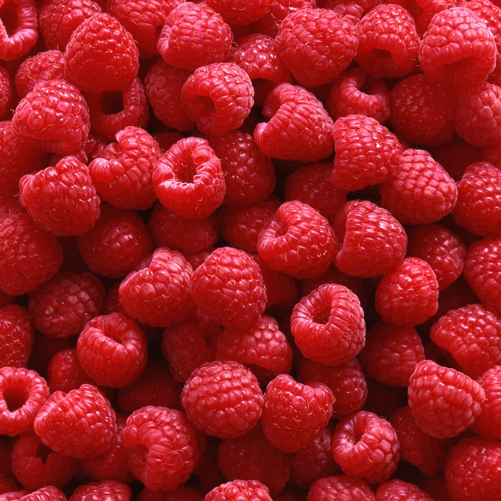 Melted Raspberry Fruit Melt-to-Make® Red Raspberry Flavor for Gummy Manufacturing - Heritage ...